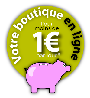 Votre boutique en ligne pour moins de 1€/jour